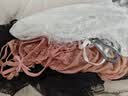 霏慕情趣内衣性感jk制服房事高档女仆秘书睡衣丝袜大码sm羞耻诱惑战袍 实拍图