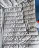 迪卡侬（DECATHLON）短款羽绒服轻薄薄外套户外运动保暖内胆排骨羽绒服TREK100 女款-珍珠白-立领 S 实拍图