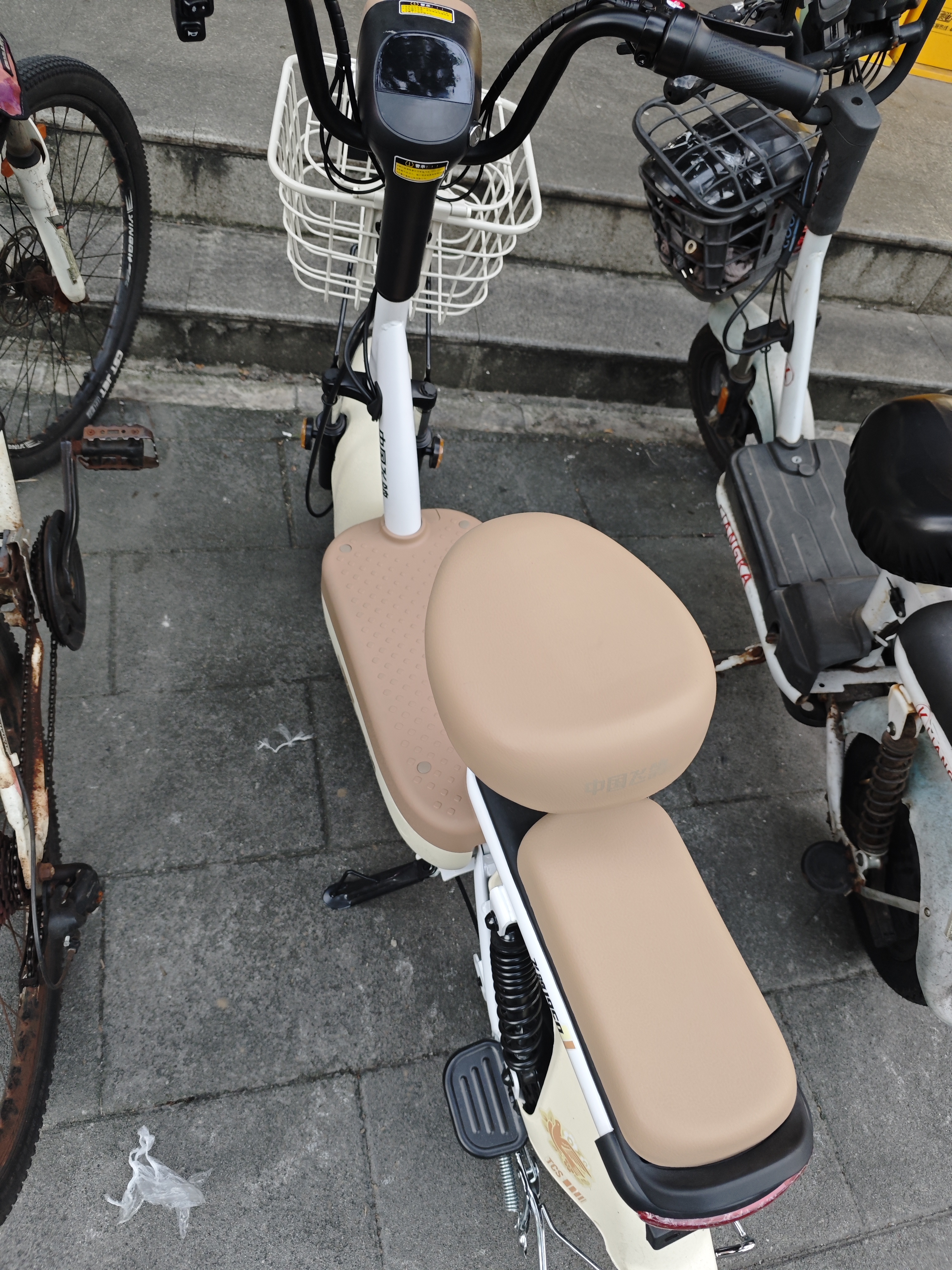 飞鸽电动自行车 E75Plus2026款新国标电动车长续航80KM铅酸电池48V21Ah智能家用电瓶车可上牌漫步白 实拍图
