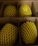 佳沛（zespri）新西兰金奇异果8粒特大果124-146g猕猴桃水果礼盒 实拍图