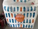 碧芭宝贝盛夏光年Pro拉拉裤XXXXL码24片(≥20kg)学步裤尿不湿夏天超薄透气 实拍图