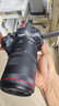 佳能（CANON） RF全画幅/半画幅微单镜头 R8 R50 R7 R10 R5 R62 R系列镜头 中远摄微距RF100 F2.8 L MACRO百微 实拍图