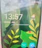 摩托罗拉 联想moto g100 四年质保 LCD护眼屏 7000mAh 国家补贴 应用六开 多场景NFC  12GB+256GB 青峰绿 实拍图