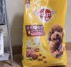 宝路狗粮 成犬狗粮中大中小型犬 全价狗粮牛肉味1.8kg 实拍图