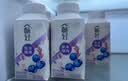 伊利畅轻低温酸奶 蓝莓紫米爆珠250g*8瓶酸牛奶 源头直发包邮 短保 实拍图