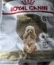 皇家狗粮贵宾老年犬粮 PDA26 8岁以上 50g*3【请勿单独下单】 实拍图