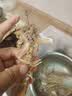 海速达皮皮虾 净重1斤15-22只 中大号满肉熟冻濑尿虾爬子虾婆姑 实拍图