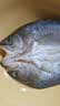 仙泉湖三去白蕉海鲈鱼1斤/条净膛刺少肉厚珠海特产500g海鲜水产生鲜食材 实拍图