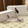 大英博物馆生日安德森猫白噪音蓝牙音响无线充氛围灯文创摆件男女国庆节礼物 实拍图
