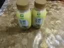 椰谷（YEGU）生椰凤梨240ml*10瓶 椰汁风味饮品果汁椰奶休闲解腻早餐饮料 实拍图