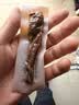 科尔沁手撕风干牛肉干五香味500g净含量 量贩装 休闲零食 肉干肉脯特产 实拍图