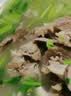 恒都 澳洲原切羊排 2斤/袋 冷冻 进口草饲羊肉 烧烤食材 煎烤炖煮 实拍图