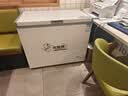 北极熊（BEIJIXIONG）小冰柜家用小型冷冻保鲜迷你冷藏两用商用卧式冷柜单用储母乳柜节能省电一级节能 268白色【一级节能 全国联保 可囤400斤肉】 实拍图