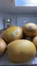 佳沛（zespri）新西兰金奇异果12粒特大果124-146g猕猴桃水果礼盒 实拍图