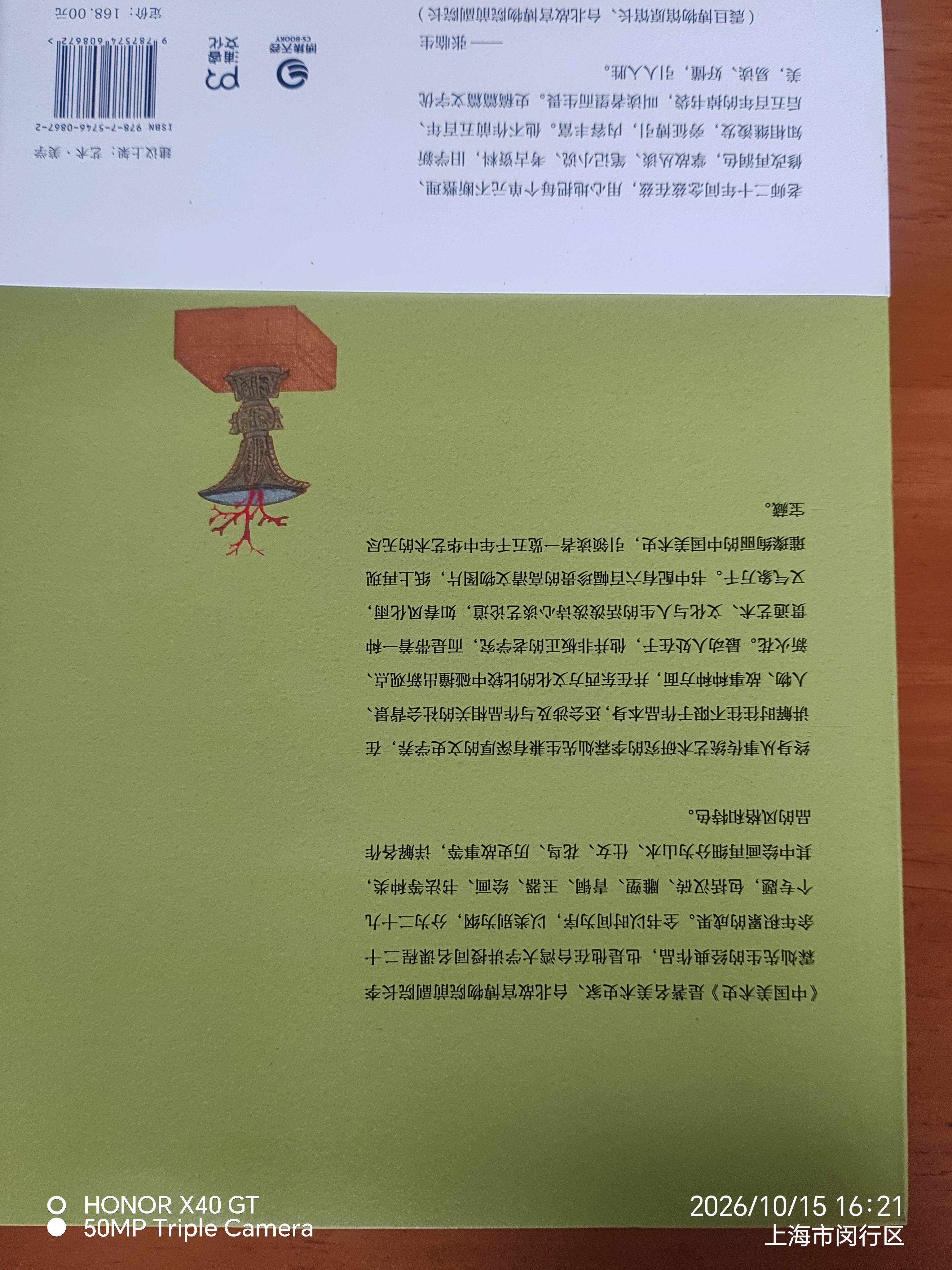 中国美术史（豆瓣热门中国美术史图书TOP10经典全新升级再版，一本书读完五千年璀璨绚丽的中国美术史） 实拍图