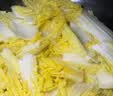 【霜打菜】三宝白菜约650g(大娃娃菜) 实拍图