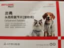 拜达尔头孢羟氨苄片宠物猫咪狗狗抗感染消炎药皮肤炎症感冒咳嗽猫尿道炎 实拍图