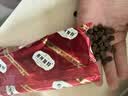 弗列加特猫粮 肠道养护 全价鲜肉天然粮 成猫粮鸡肉味8kg【宠物金选】 实拍图