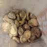 十月稻田 金钱菇 200g 干香菇 小香菇 山珍菌菇干货 煲汤火锅炒菜食材 实拍图