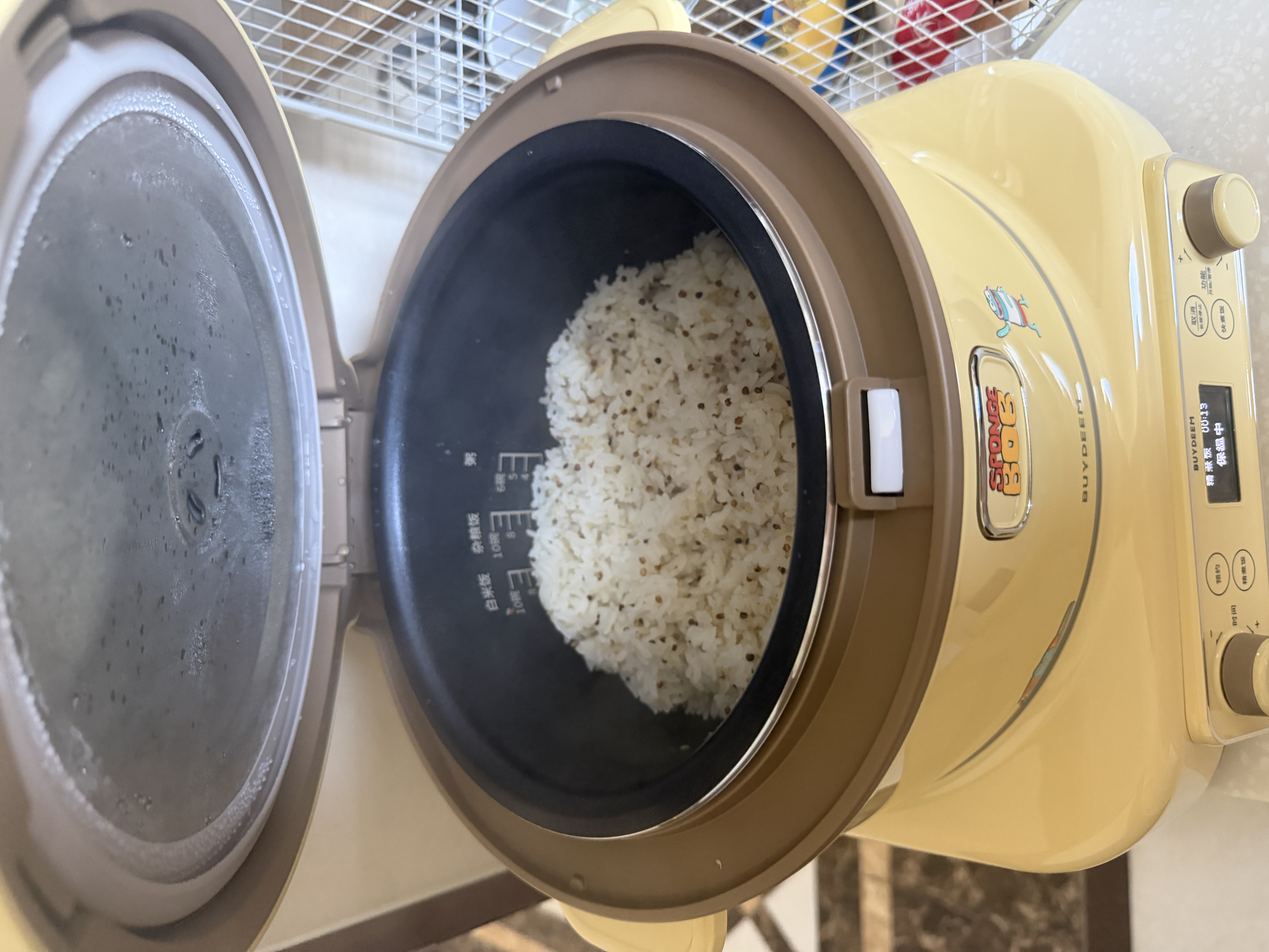 北鼎（Buydeem）电饭煲电饭锅家用IH分体式大厨电磁炉多功能大容量24小时预约2-5人3L RD5731小鹅黄 实拍图