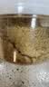 特瑞肯（TRICON）烤肉烧烤原味蘸料撒料齐齐哈尔东北风味75g/盒 实拍图