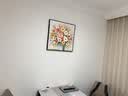 墨派（Mopai）餐厅装饰画手绘油画美式花卉高端客厅肌理挂画正方形壁画免打孔 锦上添花 60*60cm手绘油画 实拍图