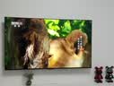 海信电视75E3NH Pro 75英寸 264Hz高刷 高色域 Hi-Fi音响 智能Wi-Fi6 大内存 平板电视 实拍图