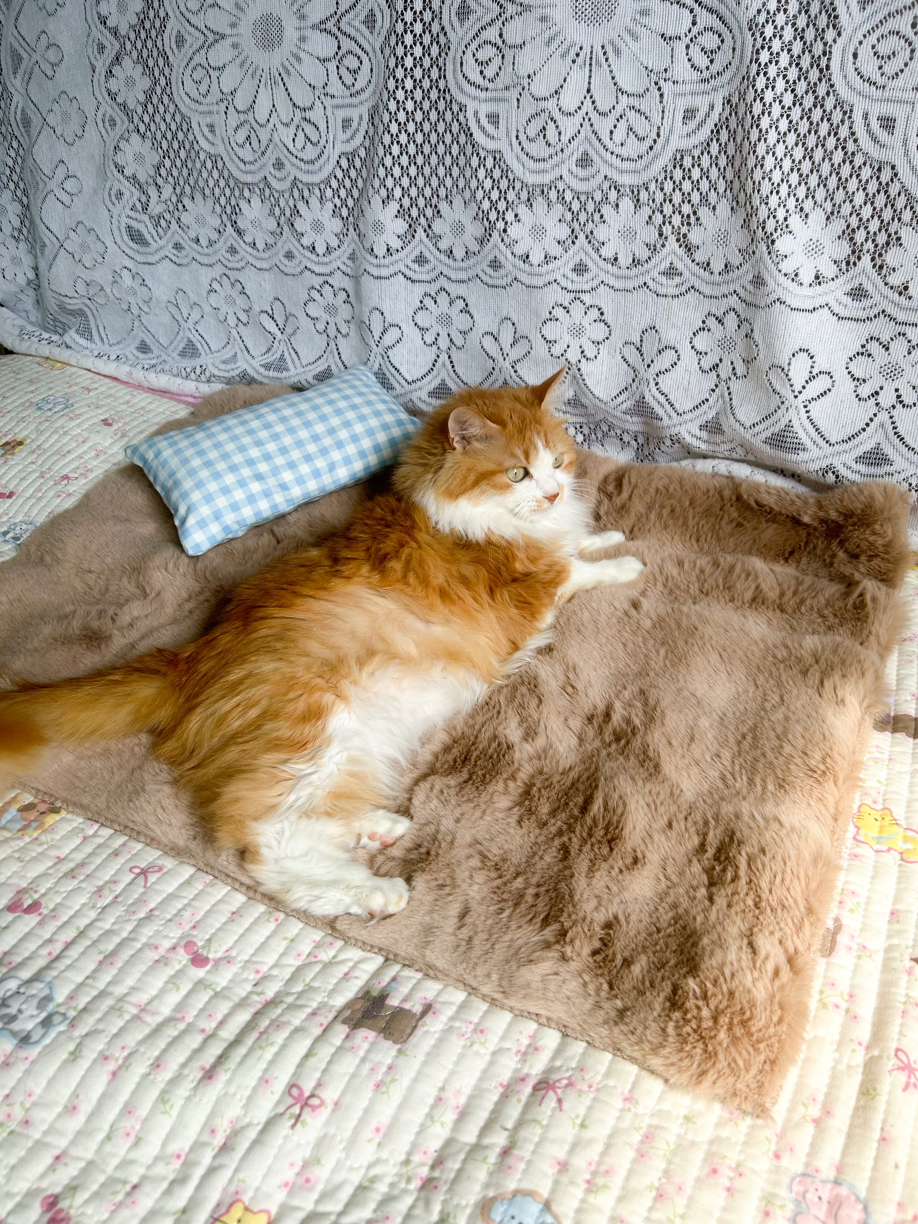 HELLOJOY猫窝垫子猫毯子冬季睡觉用宠物猫咪毛毯保暖狗窝冬日加厚兔绒睡垫 实拍图