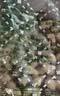 沙土小珍珠花生蒜香味1KG/袋 坚果炒货京东自营休闲家庭节庆零食 实拍图