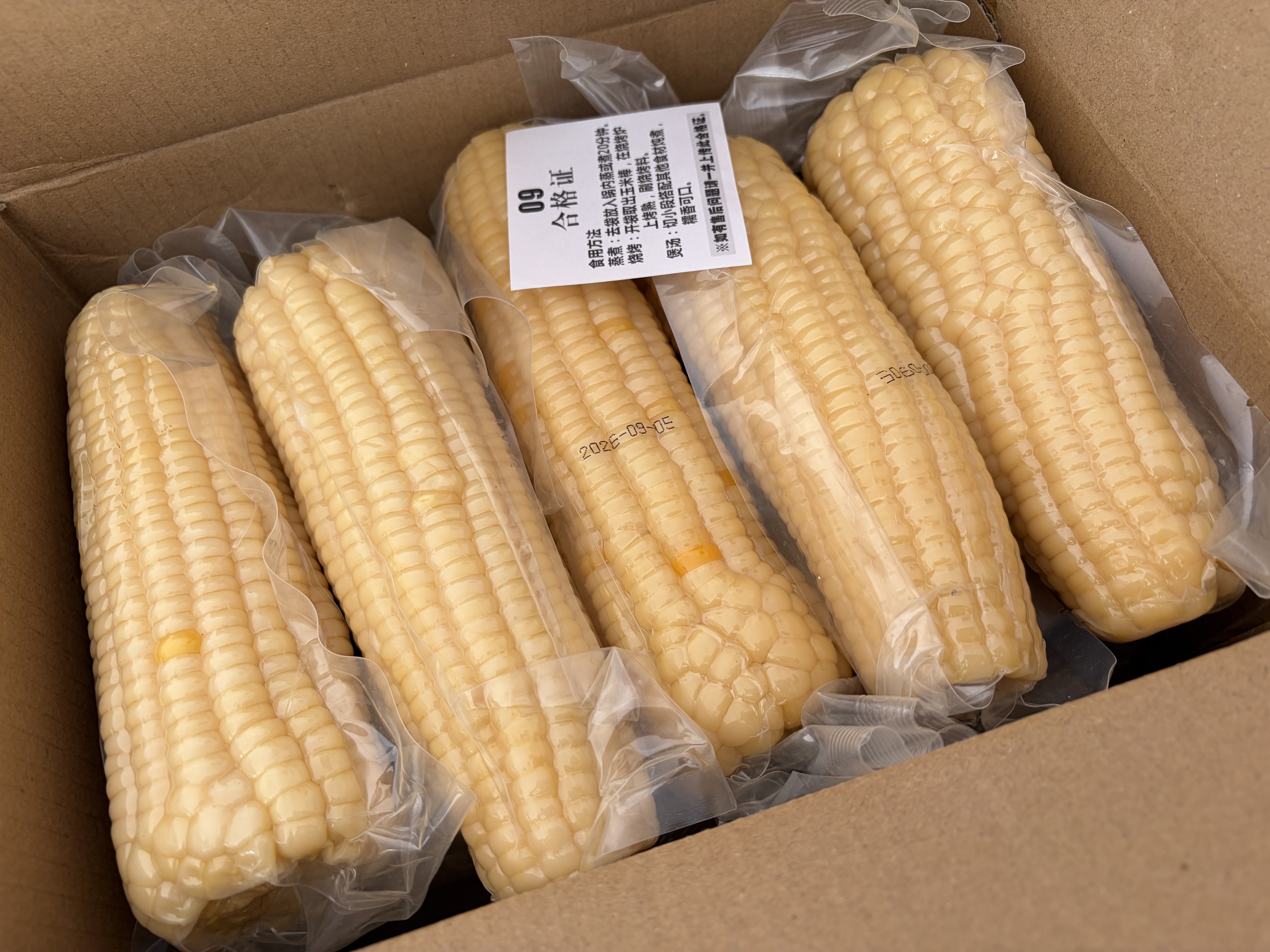 京鲜生东北白糯玉米250g*10棒 新鲜甜糯玉米棒真空包装粘玉米 源头直发 实拍图