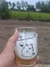 督威经典三口味330ml*12瓶 黄金三花666组合比利时进口精酿啤酒聚会 实拍图