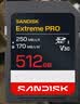 Sandisk闪迪512GB SD内存卡 4K V30 U3 C10 相机存储卡 读速250MB/s 写速170MB/s 微单/单反相机内存卡 实拍图