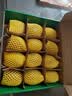 佳沛（zespri）新西兰金奇异果12粒特大果124-146g猕猴桃水果礼盒 实拍图