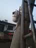 康佳4g监控无线摄像头无需连wifi终身免流量监控器360度无死角带夜视全景手机远程家用高清室户外插电 实拍图