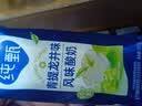 蒙牛【杨紫同款】纯甄青提龙井味风味酸牛奶200g*16盒整箱 春日限定 实拍图