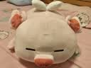 名创优品（MINISO）小猪B-BO翅膀猪玩偶毛绒公仔娃娃猪猪抱枕睡靠枕生日礼物女次日达 实拍图