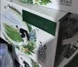 伊利【新鲜日期】金典纯牛奶 200ml*12盒 3.6g乳蛋白礼盒装 实拍图