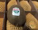 佳沛(zespri) 新西兰进口奇异果绿心猕猴桃 送礼礼盒 包邮源头直发 10粒装   单果约88-103g 实拍图