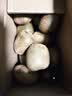 淳果一木 黄心猕猴桃 黄金奇异果金果猕猴桃四川 新鲜水果 生鲜水果 5斤 精品超大果 单果130克+ 实拍图