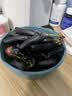 京鲜生 云南蓝宝石葡萄 金手指无籽黑提 尝鲜装2-2.5斤 易掉粒 生鲜水果 实拍图