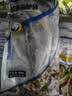 海名威 冷冻三去鲜蒸海鲈鱼450g/条(配料包)  海鱼 生鲜鱼类 海鲜水产 实拍图
