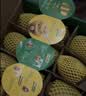 佳沛（zespri）新西兰金奇异果12粒特大果124-146g猕猴桃水果礼盒 实拍图