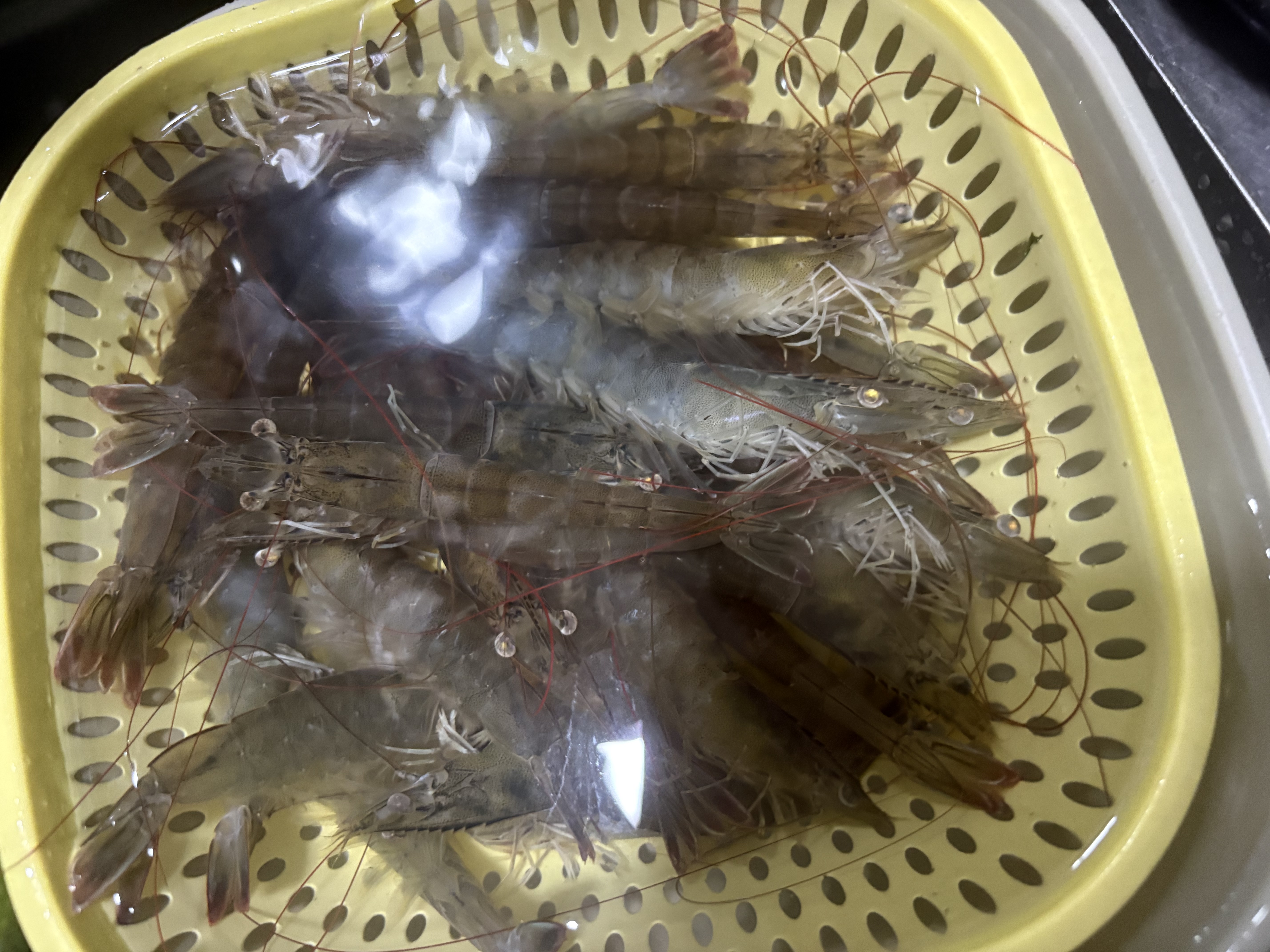 鲜活大基围虾250g(10-15只) 实拍图