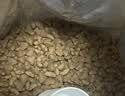好主人金装好主人猫粮2.0 成猫幼猫蓝猫英短通用全价无谷冻干 【刘宇代言】成猫粮5斤 实拍图