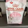 皇家猫粮 幼猫猫粮 幼猫奶糕 K36 通用粮 4-12月 2KG 实拍图