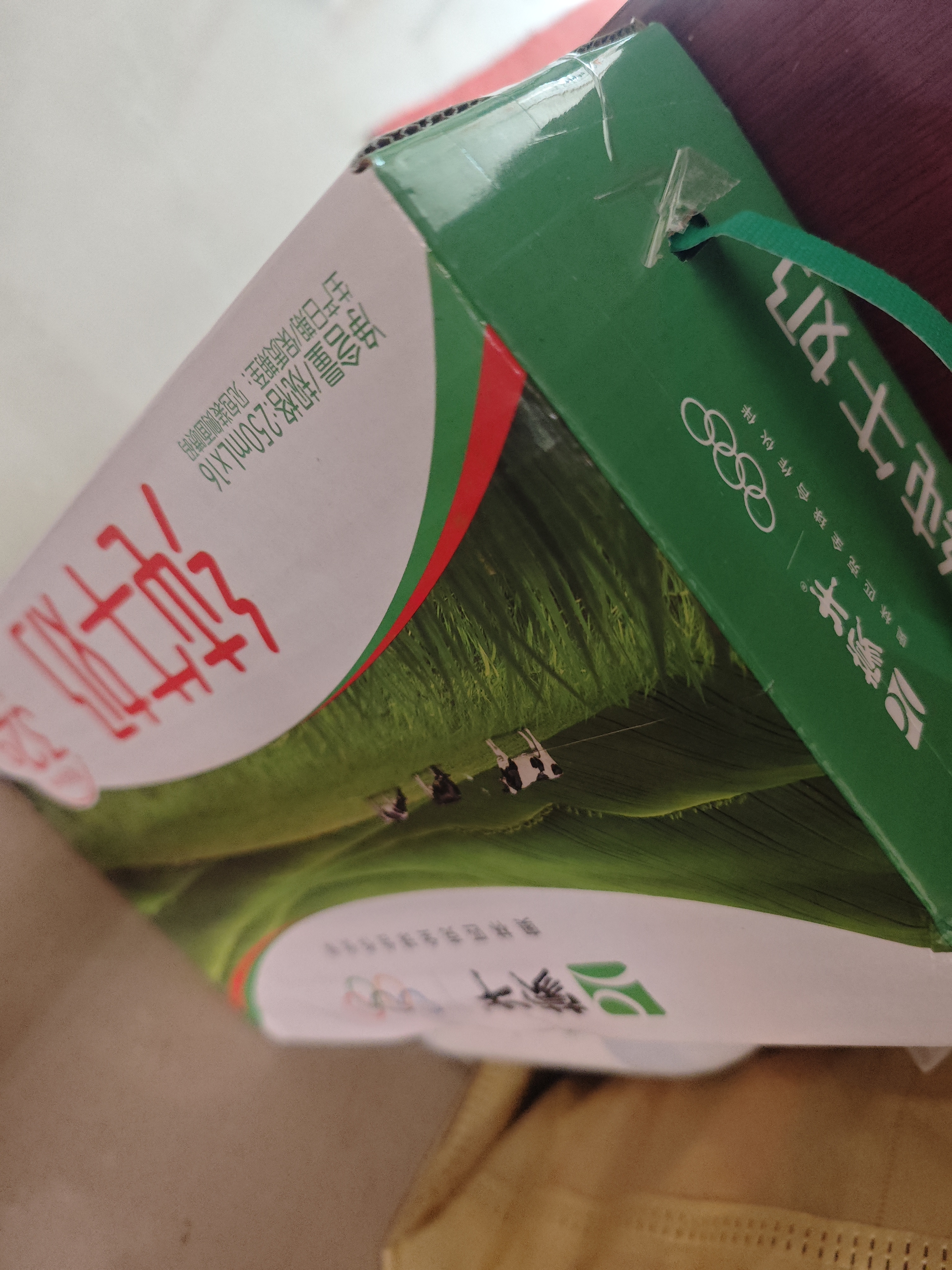 蒙牛全脂纯牛奶250ml*16盒 牛奶礼盒 3.2g蛋白送礼礼盒 实拍图