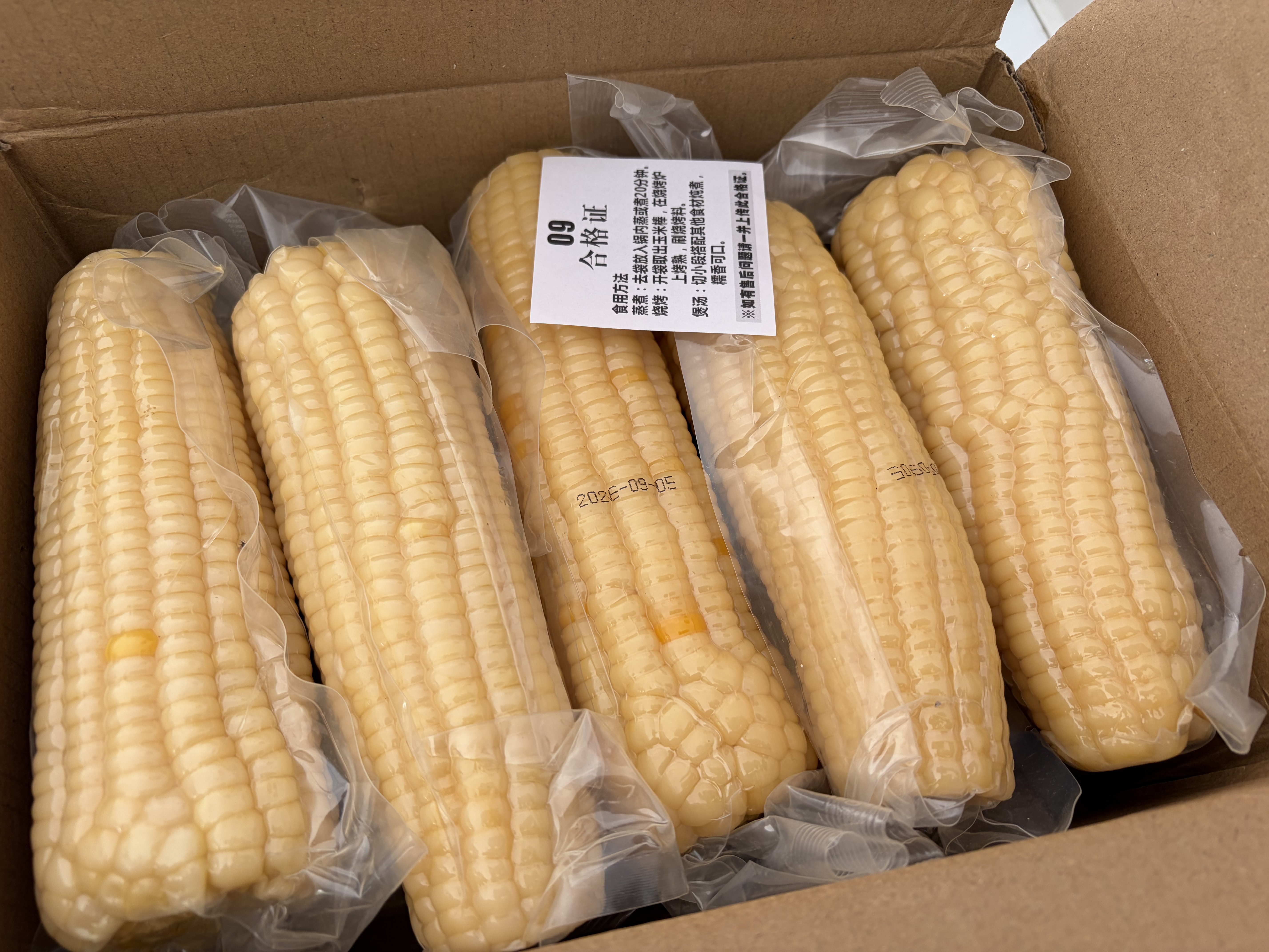 京鲜生东北白糯玉米250g*10棒 新鲜甜糯玉米棒真空包装粘玉米 源头直发 实拍图