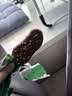 哈根达斯（Haagen-Dazs）经典夏威夷果仁口味冰淇淋 100ml/杯 雪糕 实拍图
