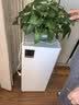 树新风空气净化器除甲醛异味除菌除花粉过敏认证家用宠物大空间全效T2pro净化器 实拍图