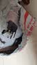 普联（TP-LINK）大道路由器7DR6430 BE6400 5G WiFi7千兆双频家用高速穿墙 2.4G wifi6无线 2.5G网口 游戏加速 实拍图
